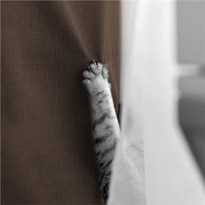 Комплект штор для кухни "Волшебная Ночь" Рогожка / Шоколад