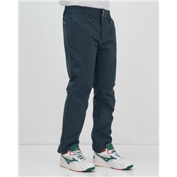 Брюки утепленный мужской зимние спортивные темно-серого цвета 2211-1TC