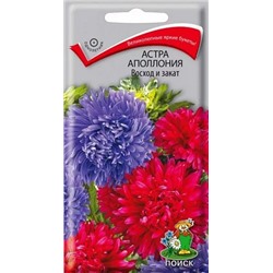 Семена Астра Апполония Восход и закат, арт.: 8240