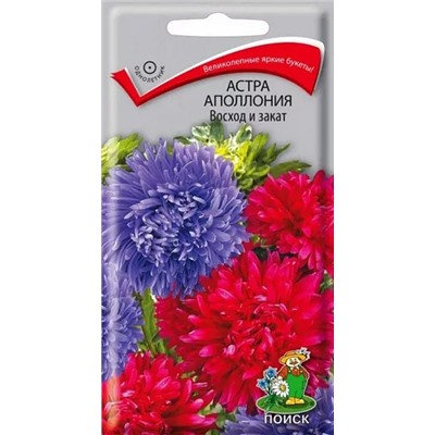Семена Астра Апполония Восход и закат, арт.: 8240