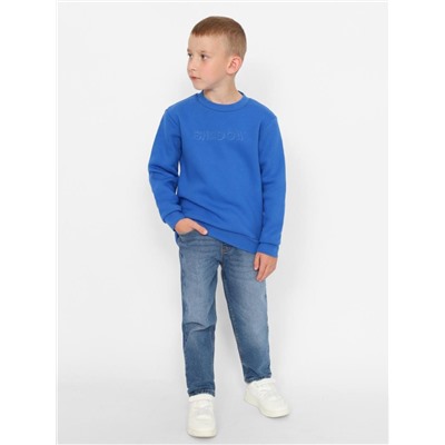 Толстовка для мальчика Cherubino CWKB 63685-42 Синий
