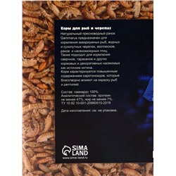 Корм для рыб и черепах «Пижон» гаммарус тушка, ведро, 2 л