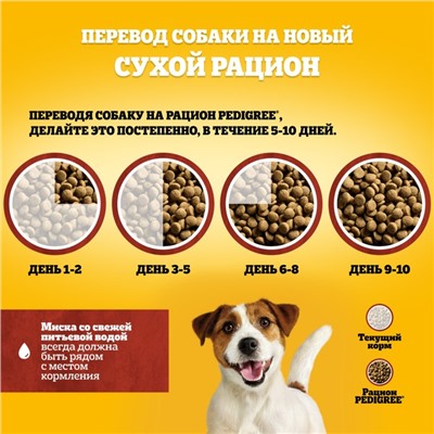 Сухой корм Pedigree для собак мелких пород, говядина, 13 кг