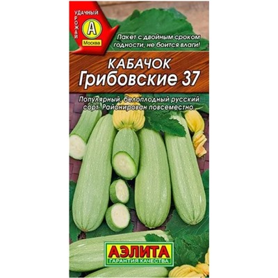 Кабачок Грибовские 37 Аэлита