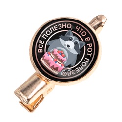 HZF-0119 Заколка Всё полезно, что в рот полезло