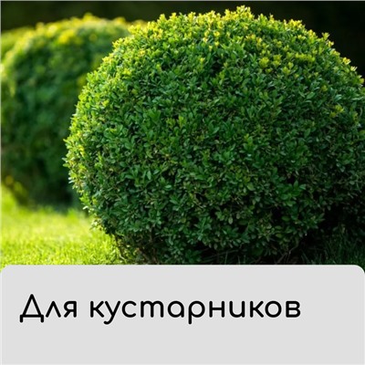 Чехол для растений, трапеция на шнурках, 75×70 см, спанбонд с УФ-стабилизатором, плотность 60 г/м²