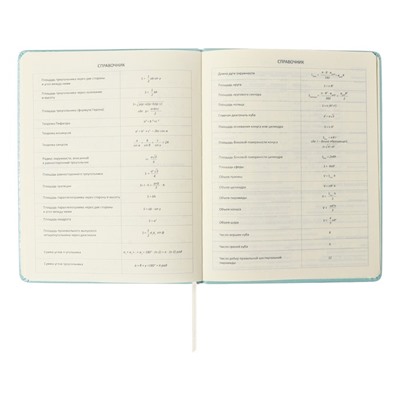 Дневник школьный для 1-11 классов Leaf, твёрдая обложка, искусственная кожа, с поролоном, тиснение фольгой, ляссе, 80 г/м²