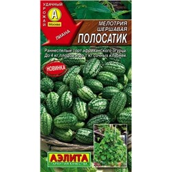 Мелотрия Полосатик (Мышиная дыня)