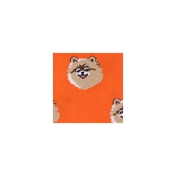 Носки женские 21С4200 159 Брестские Pets Conte [6шт] Дроп