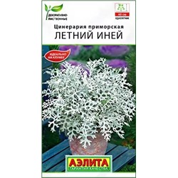 Семена Семена Цинерария Летний Иней, арт.: 9325