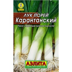 0062 Лук порей Карантанский 1гр