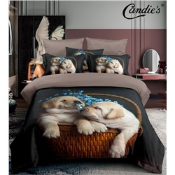 КПБ Candie's Future CANFU031