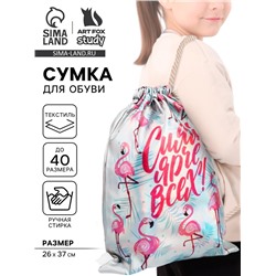 Мешок для обуви «Сияй ярче всех!», искусственная кожа, 26×37 см