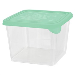 Контейнер для продуктов Sugar&Spice Delicate 0,75 л квадратный SE151411000 эвкалипт