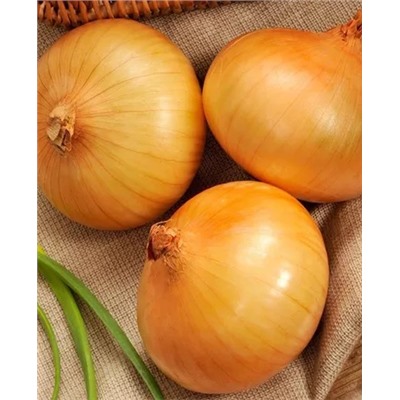 Лук-севок озимый Сеншуй еллоу, арт.: 69380