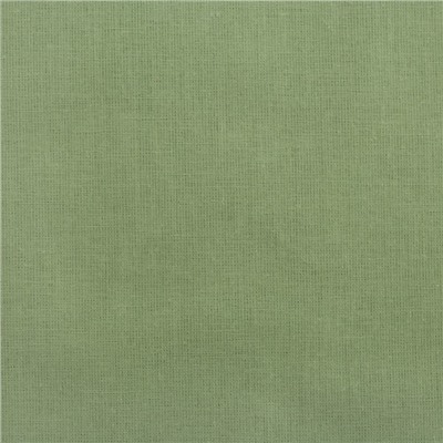 Постельное бельё "Этель" 1.5 сп Кактус 143х215 см,150х214 см, 50х70+3 - 2 шт