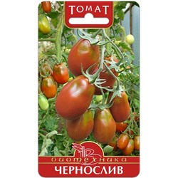 Томат Чернослив