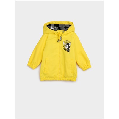 Ветровка для мальчика