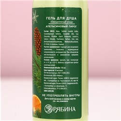 Новогодний подарочный набор косметики «Чудес и подарков»: гель для душа и пена для ванны, 2×100 мл, Чистое счастье