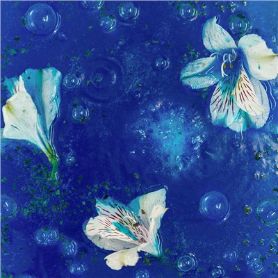 Шарик для ванн МОРСКИЕ ВОДОРОСЛИ