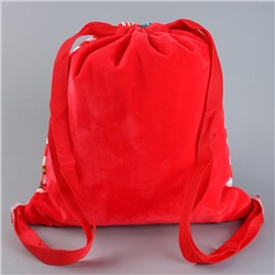 Рюкзак - мешок детский новогодний «Посылка от Деда Мороза», 35×30 см