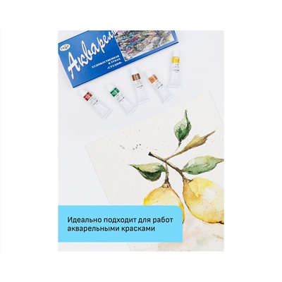 Папка для акварели, 15л., А4, Гамма "Студия", 200г/м2, среднее зерно