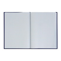 Книга учета, 96 листов, обложка бумвинил, блок газетный, клетка, синяя