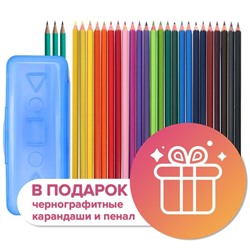 Карандаши цветные 24 цвета Calligrata ЭКОНОМ, заточенные, шестигранные, пластиковые, пенал-футляр и 3 чернографитных карандаша с ластиком в ПОДАРОК, МИКС