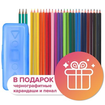 Карандаши цветные 24 цвета Calligrata ЭКОНОМ, заточенные, шестигранные, пластиковые, пенал-футляр и 3 чернографитных карандаша с ластиком в ПОДАРОК, МИКС