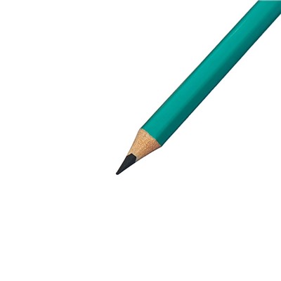 Карандаши цветные 24 цвета Calligrata ЭКОНОМ, заточенные, шестигранные, пластиковые, пенал-футляр и 3 чернографитных карандаша с ластиком в ПОДАРОК, МИКС