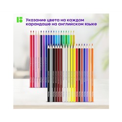 Карандаши цветные Berlingo "SuperSoft. Жил-был кот", 36цв., трехгран., заточен., картон, европодвес