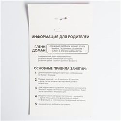 Игра на липучках «Изучаем мир домашних животных», методика Домана