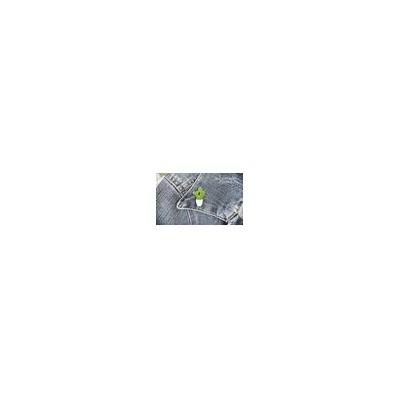 Значок Кактус Opuntia MICRODASYS I (Опунция, Брошь)