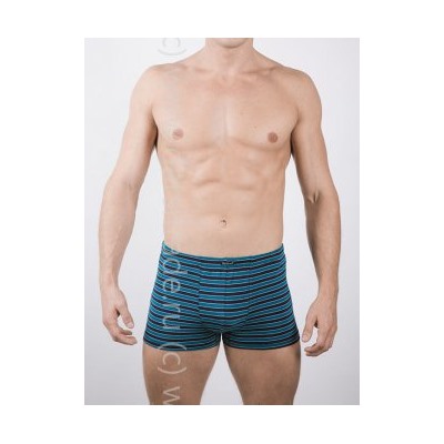 Трусы мужские GS7720 Gentlemen шорты