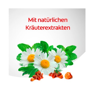 Dentagard Zahnpasta Kräuter Дентагард Зубная паста с травами 75мл
