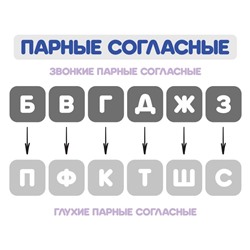 Веер-касса, парные согласные буквы, Calligrata, пакет с европодвесом