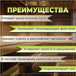 Соляной брикет набор 4 шт "Апельсин, липа, сосна, ель" по 200 гр "Добропаровъ"