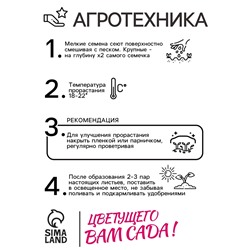Семена цветов Нивяник "Гигант", крупноцветковый, Ц/П, 0,5 г