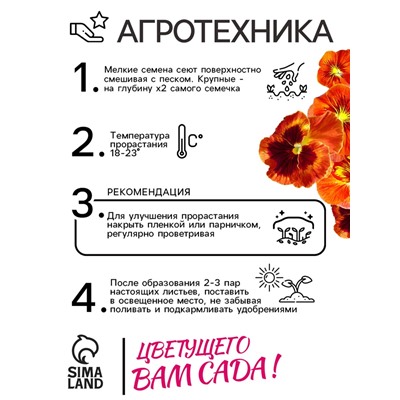 Семена Виола "Кан Кан", F1,