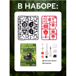 Робот паук «Чёрная вдова» Эврики, конструктор, 43 детали, на воде с солью