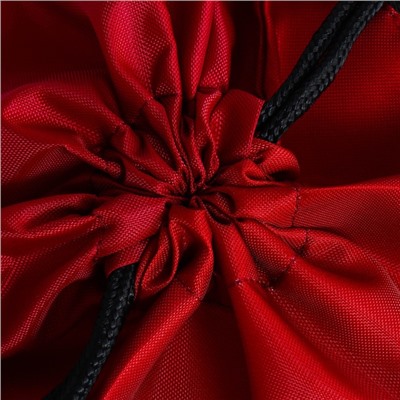 Мешок для обуви «Кеды» 2 секции, 41×31 см