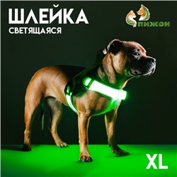 Шлейка светящаяся размер XL, стропа 2,5 см, ОГ 60-70 см, 3 режима свечения зелёная