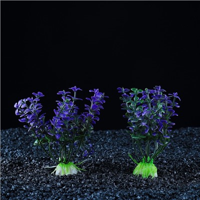 Набор растений для аквариума и террариума - 2 шт., 10 см