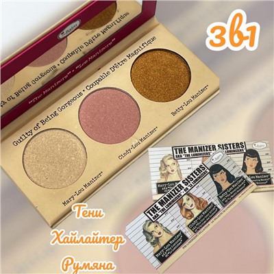 Тени Хайлайтер Румяна (Профессиональный макияж)