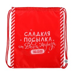 Новогодний мешок под сладости 290×340 мм, «Сладкая посылка от Деда Мороза» (мягкий полиэстер плотностью 210D)