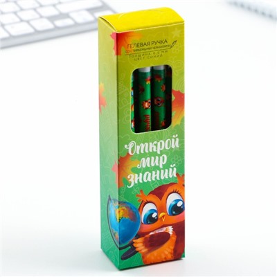 Ручка пиши-стирай, синяя паста, гелевая, 0.5 мм с колпачком «Открой мир знаний»