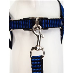 Комплект амуниции рельефный, поводок 120×1.5 см, ОГ 36-49 см, сине-чёрный