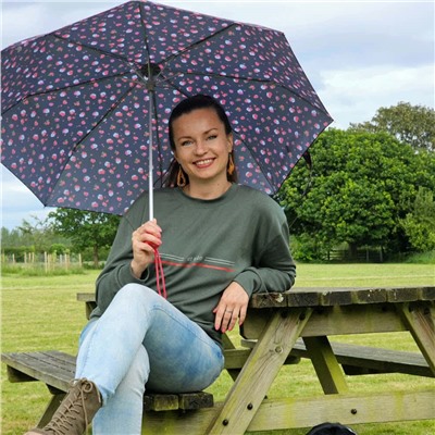 L354-4485 StrawberryGarden (Клубничный сад) Зонт женский механика Fulton