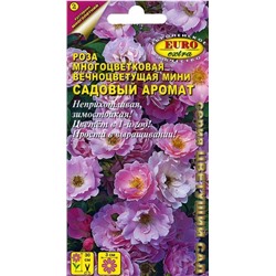 Роза Садовый Аромат Аэлита
