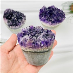 Радуга Самоцветов Друза Аметиста резная